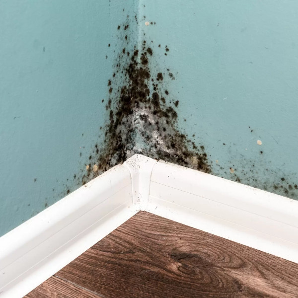 Coral Springs sink Plumbers