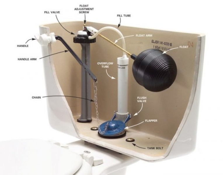 Licensed plumber installing a new toilet in South Florida