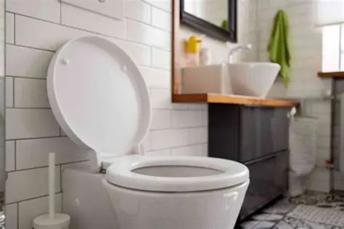 Professional toilet clog removal service in Broward County